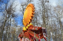 DSC_0317.JPG