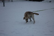 IMG_1355.JPG