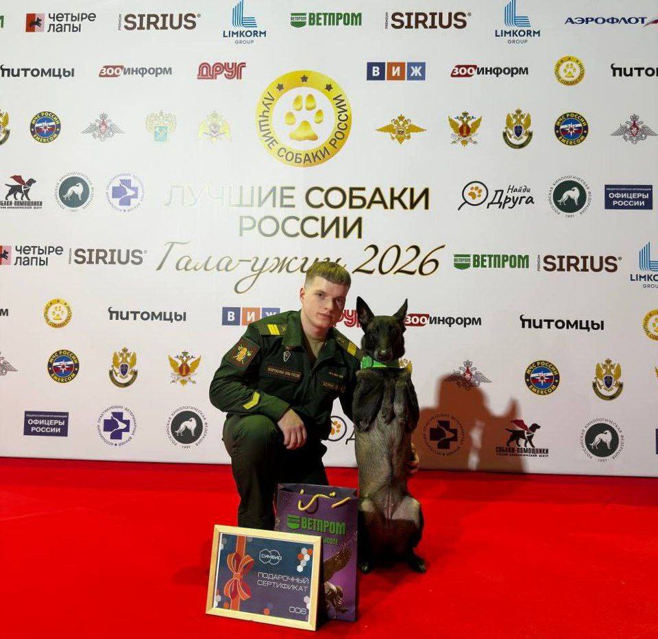 Кинолог из Серпухова выиграл конкурс «Лучшие собаки России 2025»