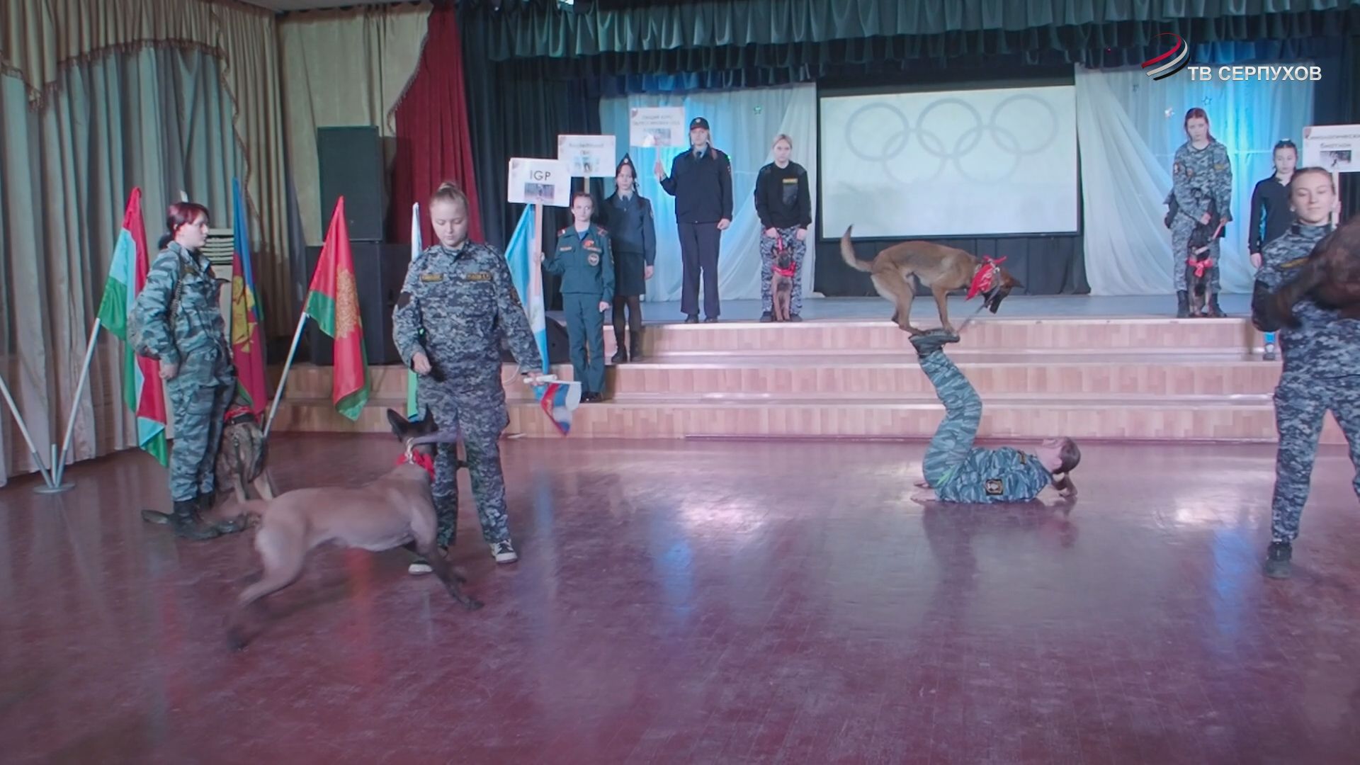 В Серпухове  стартовал межрегиональный  чемпионат  среди студентов - кинологов