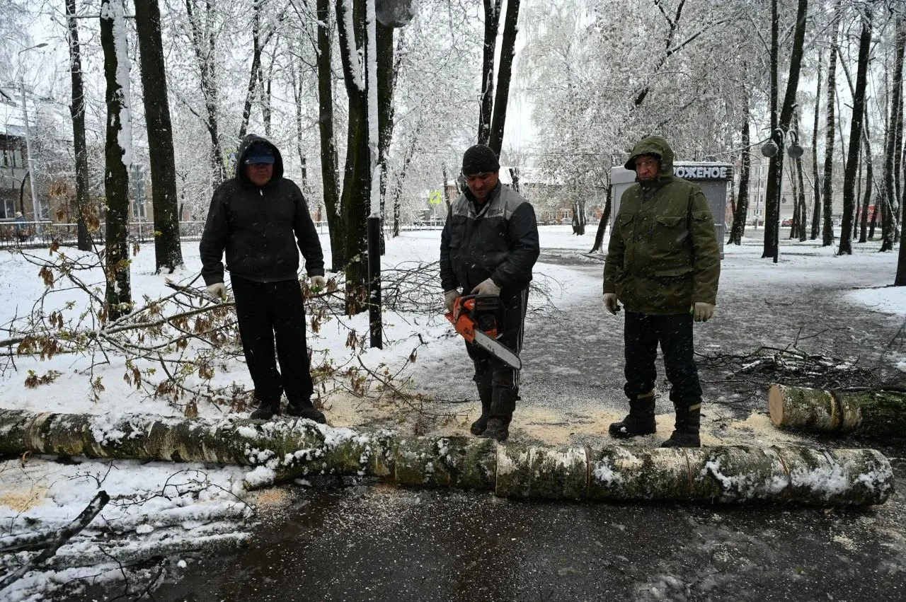 В Серпухове ликвидируют последствия апрельского снегопада