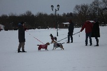 IMG_1382.JPG