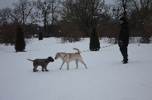 IMG_1358.JPG