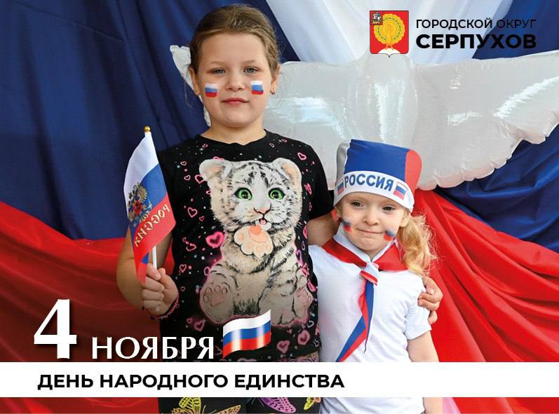 Глава Серпухова поздравил жителей с Днём народного единства