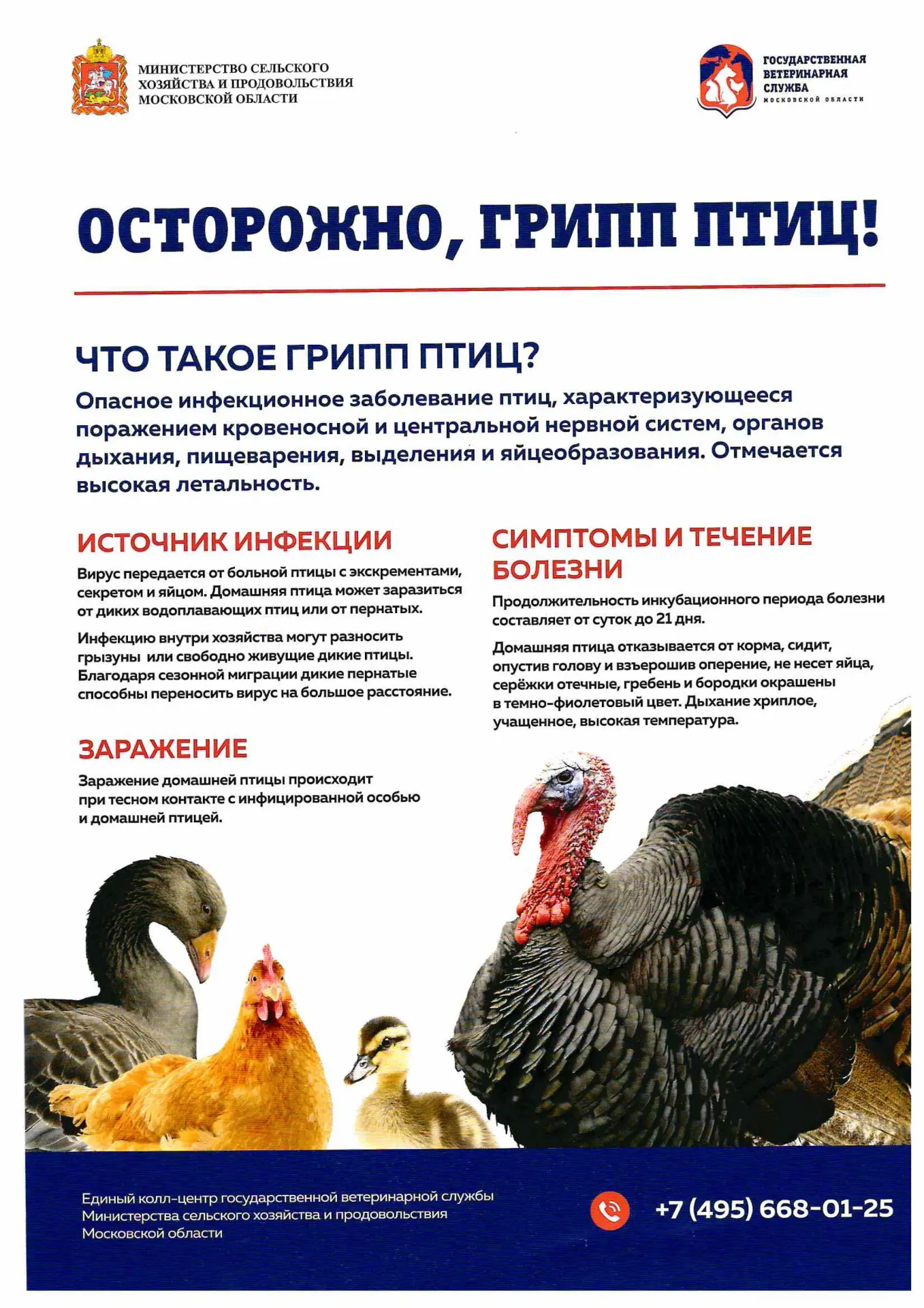 На территории Подмосковья стартовал месячник по обеспечению биологической защиты объектов птицеводства — «СТОП ГРИПП»