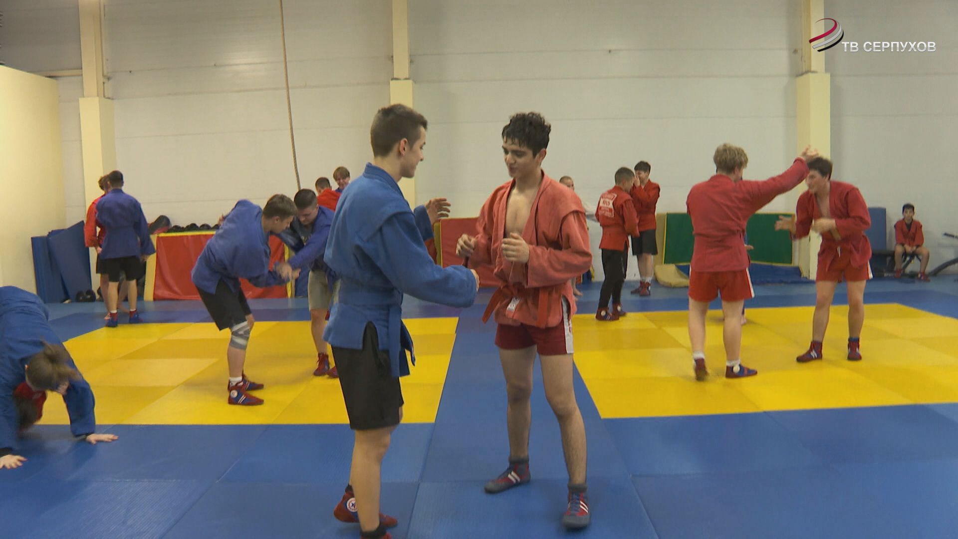 В Серпухове состоялся спарринг по самбо, приуроченный к 80-летию Победы в Великой Отечественной войн