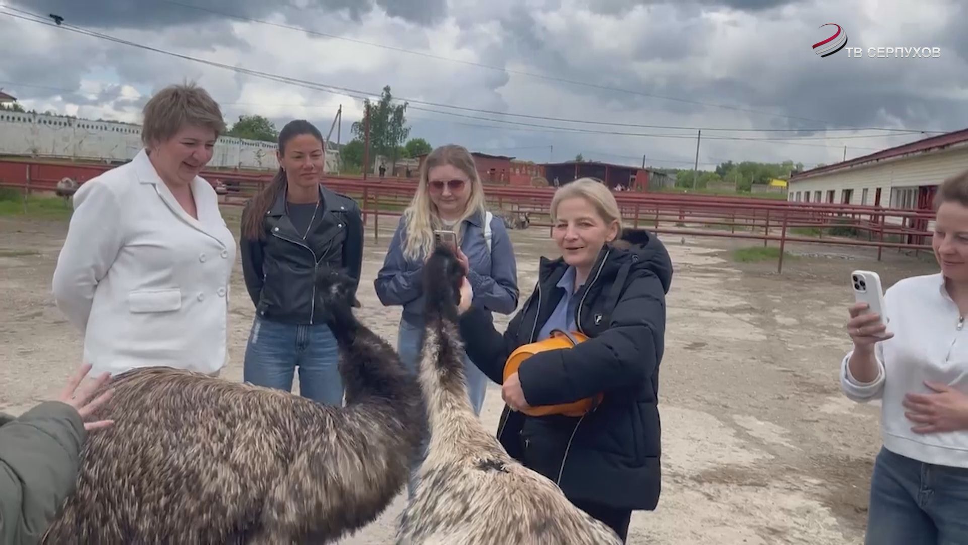В Серпухове прошел агродиктант