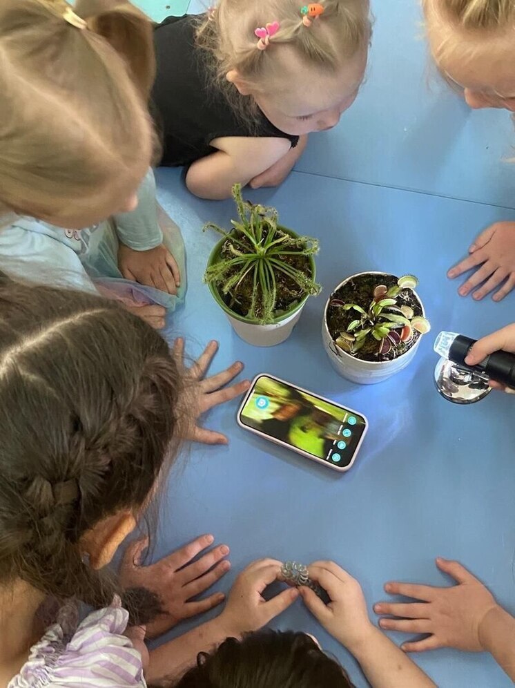 Дошкольники Пущино изучают особенности хищных растений