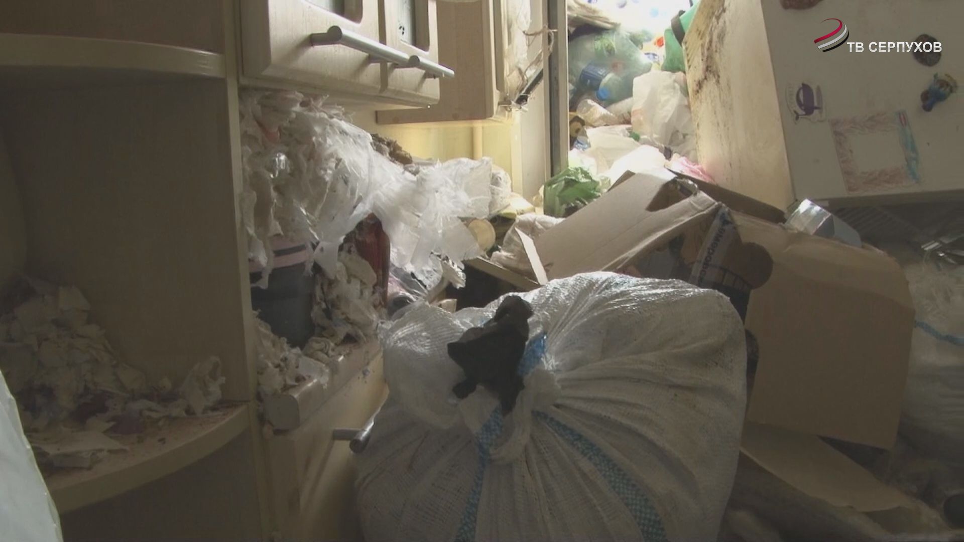 В Протвино квартиру многоэтажки расчистили от мусора