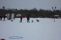 IMG_1347.JPG