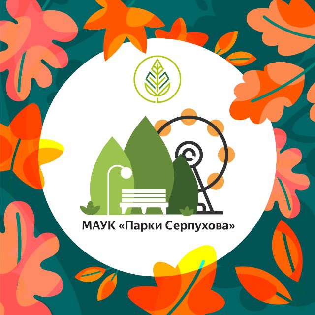 Парковый кросс состоится в Серпухове