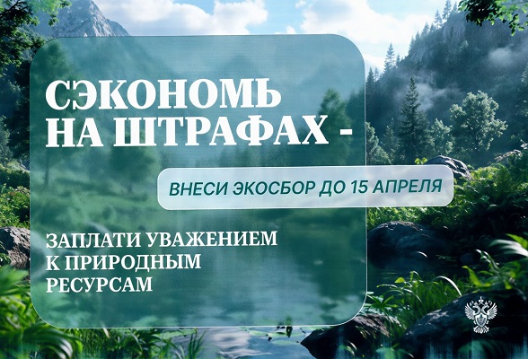 Росприроднадзор призывает бизнес Московской области сдать отчетность по новой системе утилизации