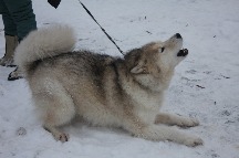 IMG_1415.JPG