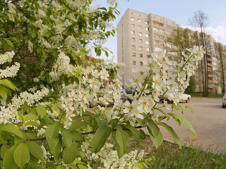 КДЦ «Протон» представит программу, посвященную 65-летию Протвино