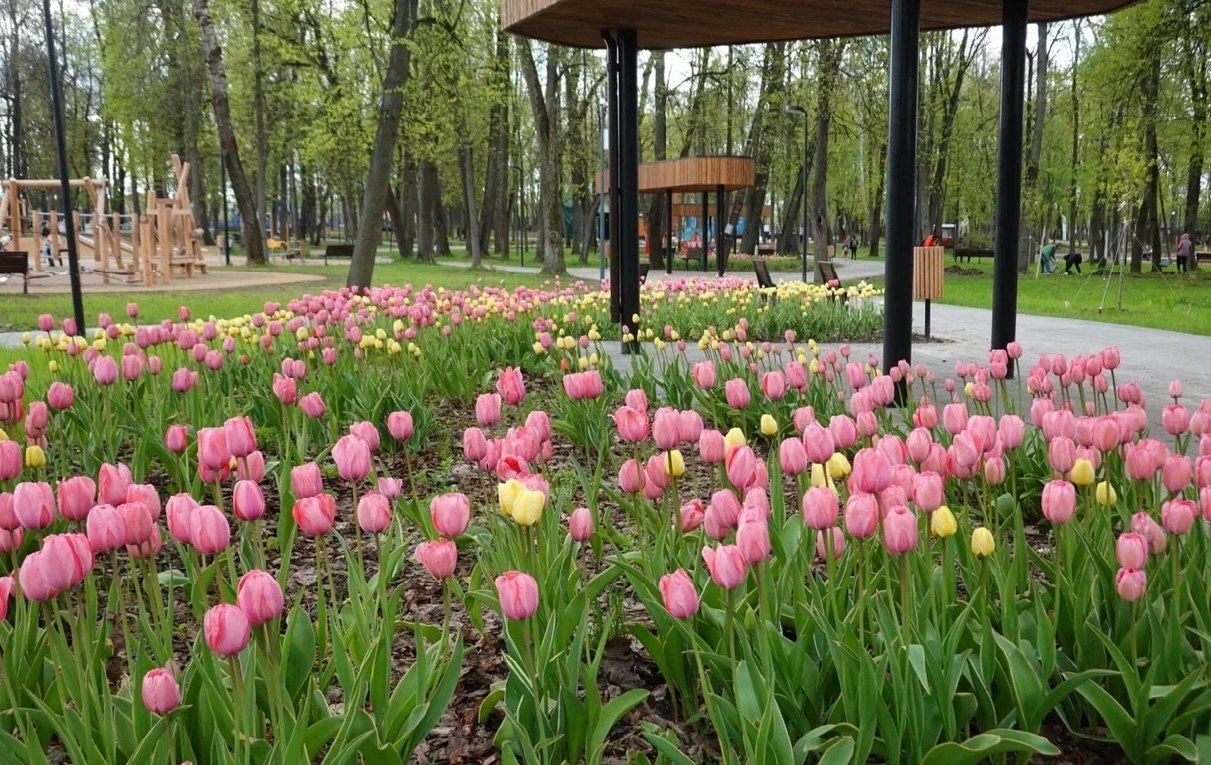 День Победы отпразднуют в парках Серпухова 
