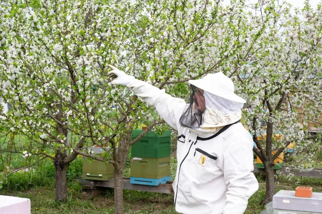 Аграриям Серпухова оказывают меры поддержки по Народной программе «Единой России» Аграриям Серпухова оказывают меры поддержки по Народной программе «Единой России»