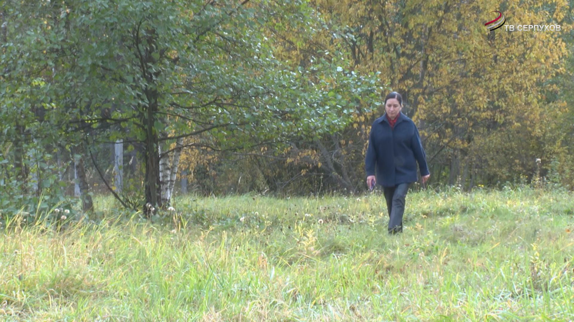 В Серпухове врачам предоставляют земельные участки