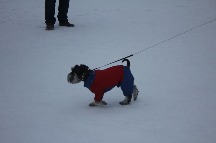 IMG_1385.JPG