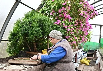 Первые весенние цветы появятся в Серпухове на этой неделе.