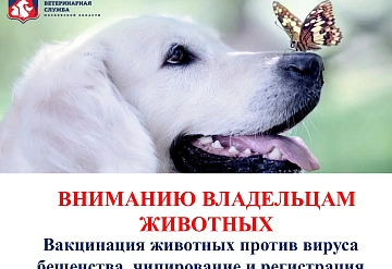 Бесплатная вакцинация от бешенства: график выездов мобильных пунктов