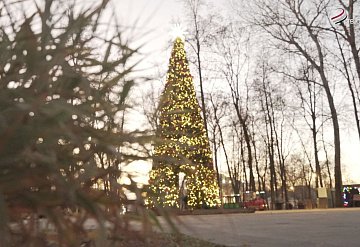 В парке имени Олега Степанова установили новогоднюю елку
