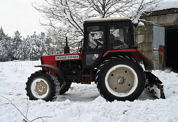 «Русский лес» заложил основу для весенней посадки 76 тысяч сосен