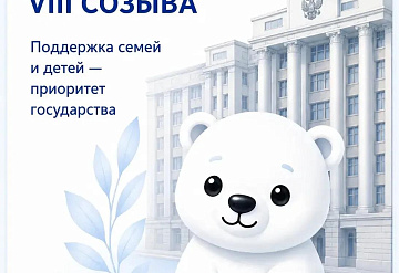 За время работы VIII созыва Государственная Дума приняла 61 закон в поддержку семей и защиту детей