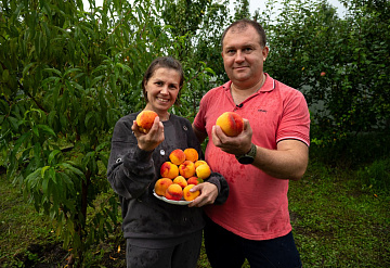 Под Серпуховом, в селе Липицы, энтузиаст выращивает южные культуры на приусадебном участке