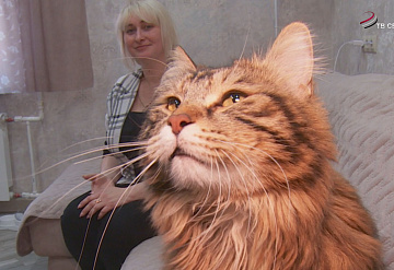 В Серпухове педагоги получают служебное жилье